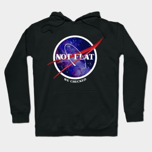 Not Flat. We Checked. Hoodie